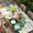 Green Beige, variant on St. Patrick's Day Table Cloths for 3 Foot Rectangle Tables, Green Gnomes Shamrock Gold Coin Beige Patio Waterproof Elastic Fitted Tablecloths, Washable Rectangular Table Cover for Camping
