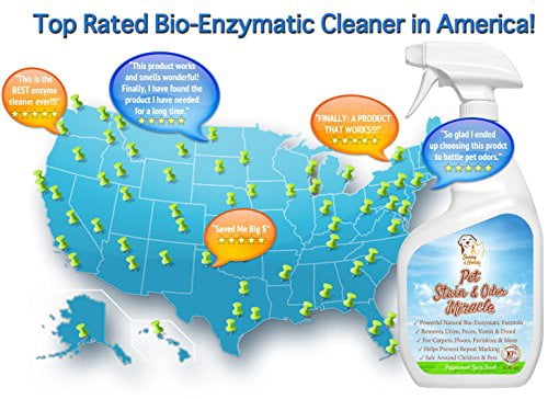 sunny & honey pet stain and odor remover