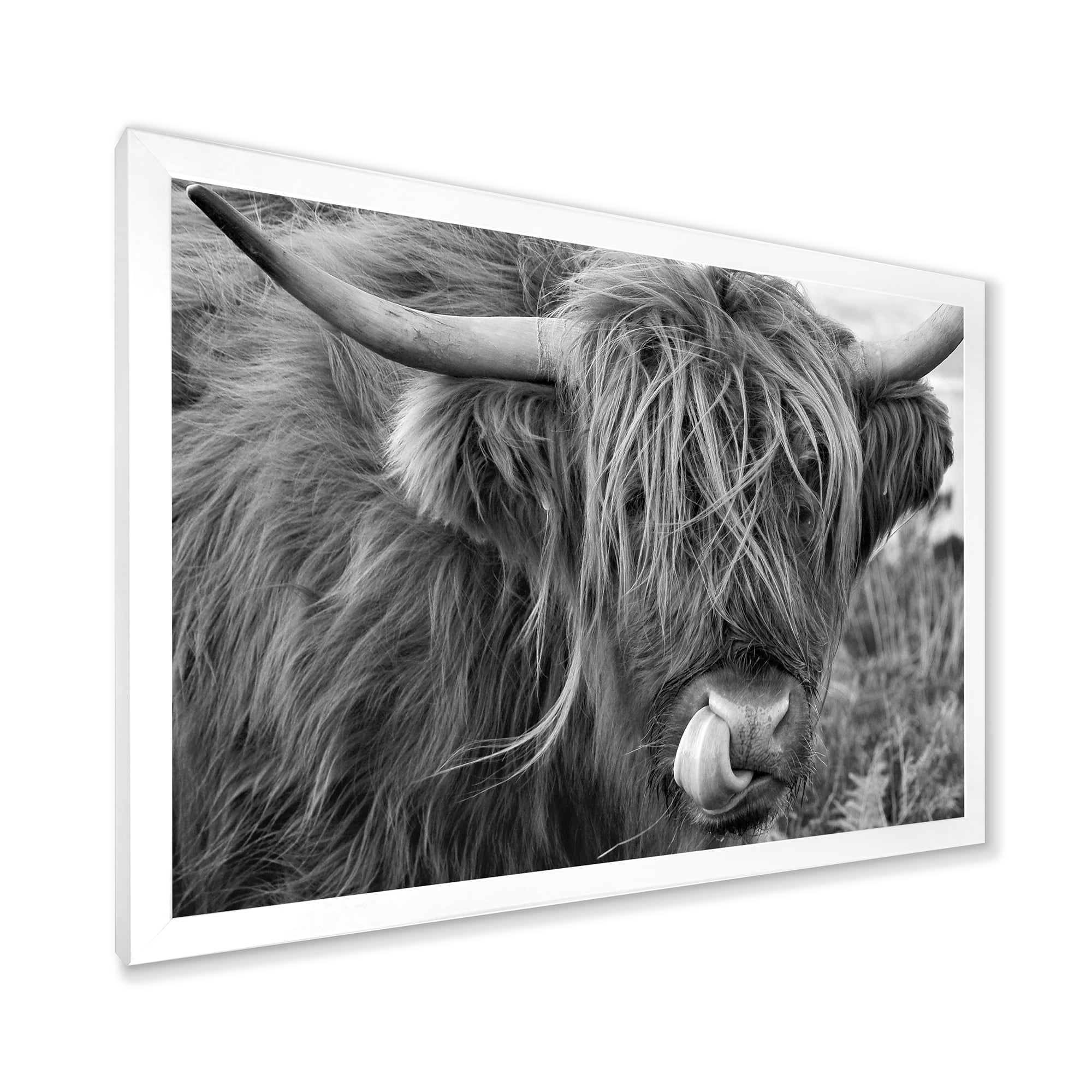 Designart 'Close Up Of Scottish Cow On Moorland II' Farmhouse Framed Art Print