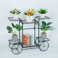 thumbnail image 7 of 6 Tier Metal Flower Succulents Pot Porch Plant Stand Rack Display Home Decor, 7 of 7