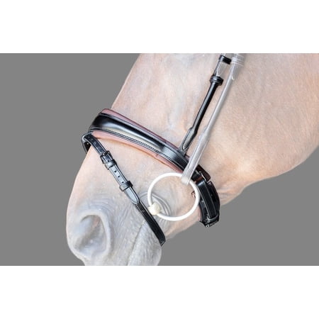 PS of Sweden Noseband GP  black