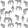 thumbnail image 3 of Allen, Kimberly 20x20 Black Modern Framed Museum Art Print Titled - Zebra Zebra V2, 3 of 5