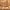 Gold, variant on Craig Frames Versailles, 12x36 inch Gold Picture Frame Matted for a 8x32 Photo