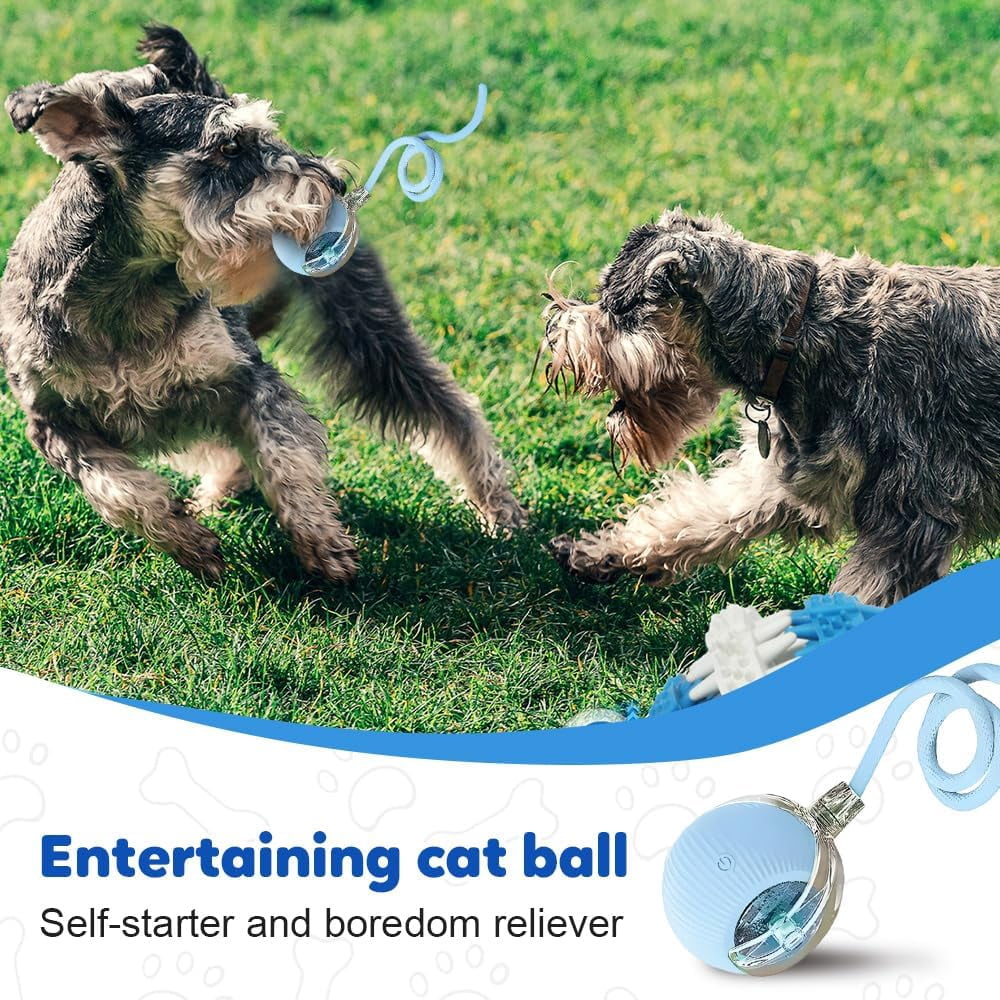 Smart Interactive Cat Toy Ball with Auto Obstacle Avoidance, 2 Mode Rolling Rechargeable Toy to Relieve Boredom, Quiet Durable Toy for Indoor Cats