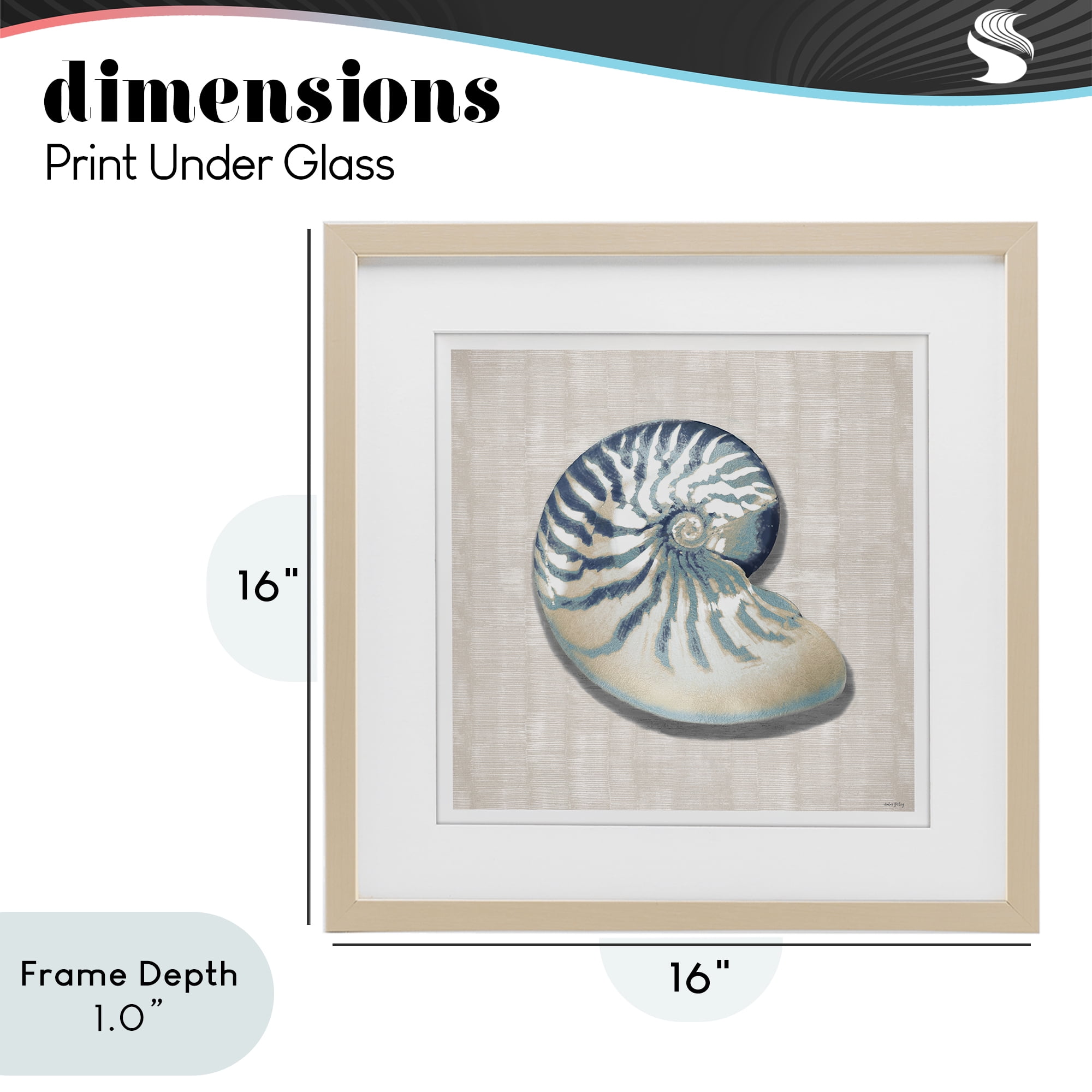 Stupell Industries Nautilus Shell in Misty Blue Birch Framed Print Under Glass, design by Amber Sterling