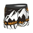 thumbnail image 3 of Disketp Not All Who Wander Are Lost4 Men'S Boxer Briefs,Soft And Breathable Cotton Underwear With Comfortflex Waistband, 3 of 8