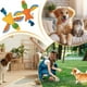 thumbnail image 3 of Chog Toys Squeaky Dog Toy, Squeaky Bird Toy, Hard Chew Toy, Plush Cotton Toy, 3 of 5