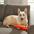 thumbnail image 3 of Outward Hound Big Squeak Latex-Free Dog Toy Hedgehog, 3 of 4