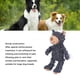 thumbnail image 4 of Juguete de Molienda de Dientes de Primera para Razas de Perros Grandes Oso de Peluche Duradero Cuidado Dental y Alivio de la Ansiedad ANGGREK  Otros, 4 of 8