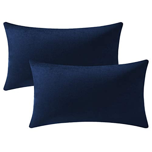 2 Pack Cozy Soft Velvet Rectangular Throw Pillow Cases for Farmhouse Home Decor Couch Pillow Covers 12x20 Cream DEZENE