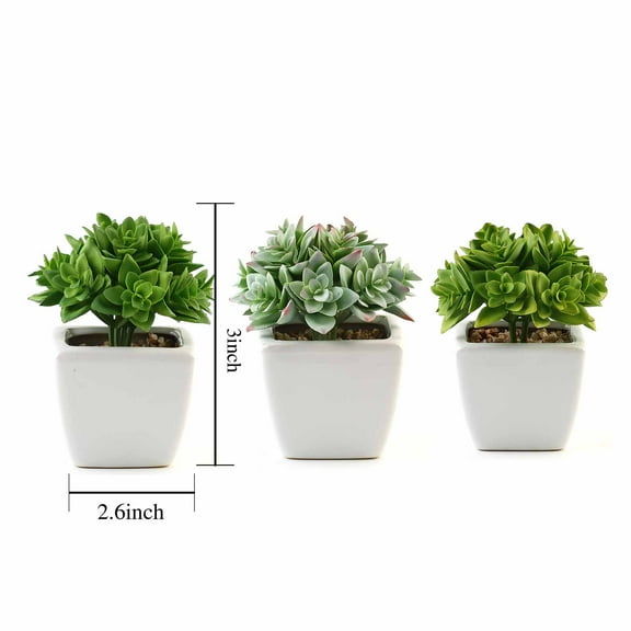 Balsa Circle 3 pcs 4-Inch Green Artificial Faux Crassula Succulent Plants with Off White Pots