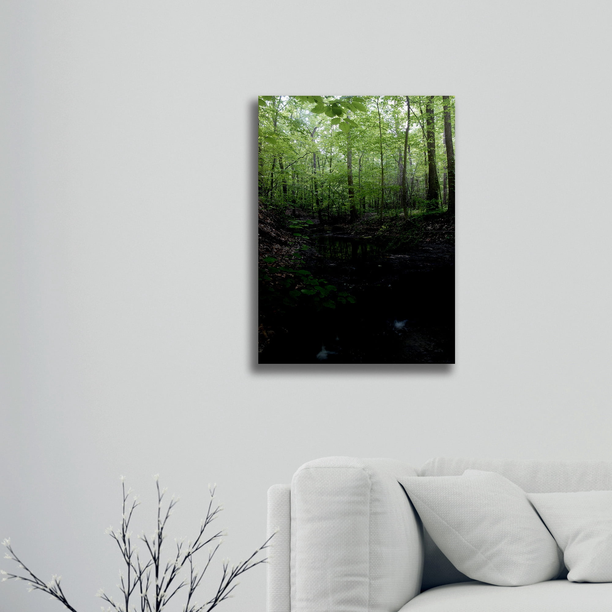 Trademark Fine Art 'Tiny Forest Falls' Brhed Aluminum Wall Art Art by Kurt Shaffer