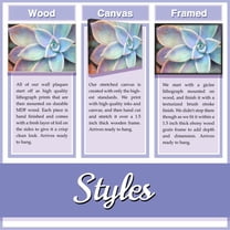 Stupell Industries White Stallion Horse Portrait Animal Design Framed Wall Art by Melonie Miller