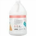 thumbnail image 3 of Ginger Lily Farms Botanicals Moisturizing Conditioner for Dry Hair, 100% Vegan & Cruelty-Free, Apple Pear Scent, 1 Gallon Refill (128 fl oz), 3 of 6