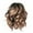 Brown, variant on Human Hair Lace Front Wigs Awwp Brown 1X Wig Glueless Wigs Human Hair Pre Plucked Pre Cut Parting Brazilian Wig Women Curly High Black Wavy Fiber Hair Temperature Short Wig, Clear Out Stock!