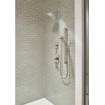 Dryden 1Spray Premium Slide Bar Hand Shower in Stainless 57051SS
