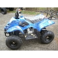 TaoTao Boulder B1 110cc ATV, Automatic Transmission, Remote Control