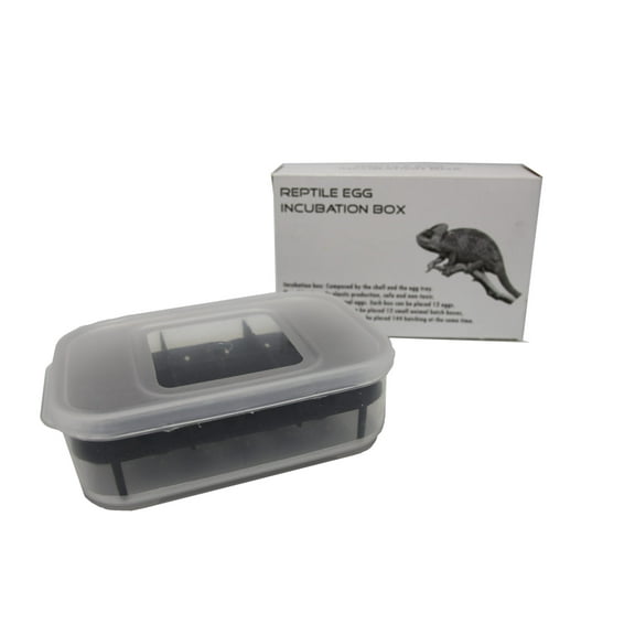 Gecko Bearded Dragon Reptile Lizard Egg Incubation Container