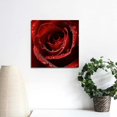 thumbnail image 4 of Fenyluxe Red Rose Water Droplets Wall Decor for Bedroom Kitchen Ready to Hang Room Home Art 12x12in, 4 of 6