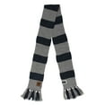 thumbnail image 1 of Striped Harry Potter Vintage Hogwarts Ravenclaw Scarf, 1 of 4