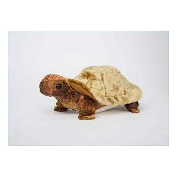Douglas Toys Speedy Tortoise