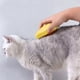 thumbnail image 4 of Cepillo humeante 3 en 1 para gatos con puerto de pulverización, cepillo de limpieza para gatos, versátil para masaje, 4 of 8