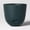 Fern Shower, variant on 8"x8" Self Watering Plastic Plant Pots, Durable Breathable Flower Planters, Indoor Outdoor Universal Use, Convenient Water Absorption Design for Garden Balcony Home Plant Cultivation
