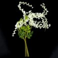 thumbnail image 3 of Vidrio de glicina de seda artificial, flor colgante de ratán para decoración de bodas, 6 piezas (blanco), 3 of 5