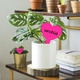 thumbnail image 5 of 40Pcs Heart Shape Plant Labels Garden Thickened Pot Markers Nursery Flower Herb Tags Plastic Waterproof Anti-UV Sign Stakes, 5 of 6