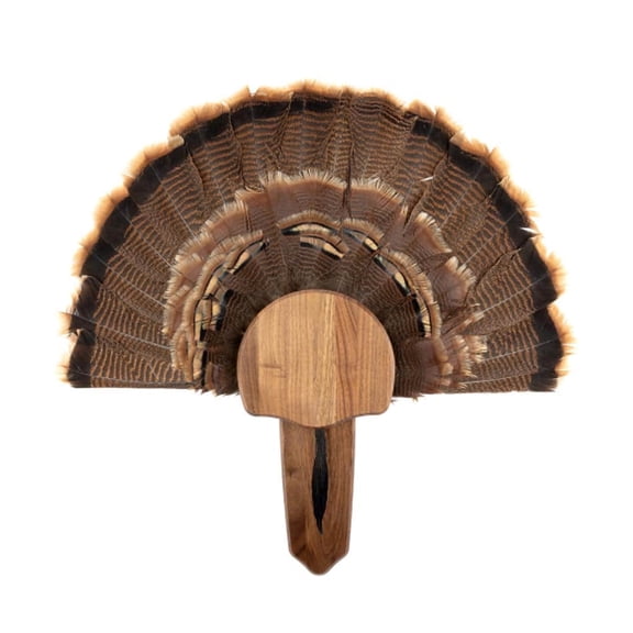 Solid Walnut Turkey Mount Kit for All Turkey Species