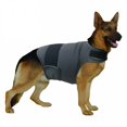 thumbnail image 4 of TELOLY 2026 New Dog Anxiety Relief Coat,Adjustable Shirts for Dogs Anxiety,Dog Anxiety Vest Jacket for Fireworks,Thunderstorm,Travel,Separation,Anxiety Calming Vest Wrap for Small Medium Large Dog, 4 of 7