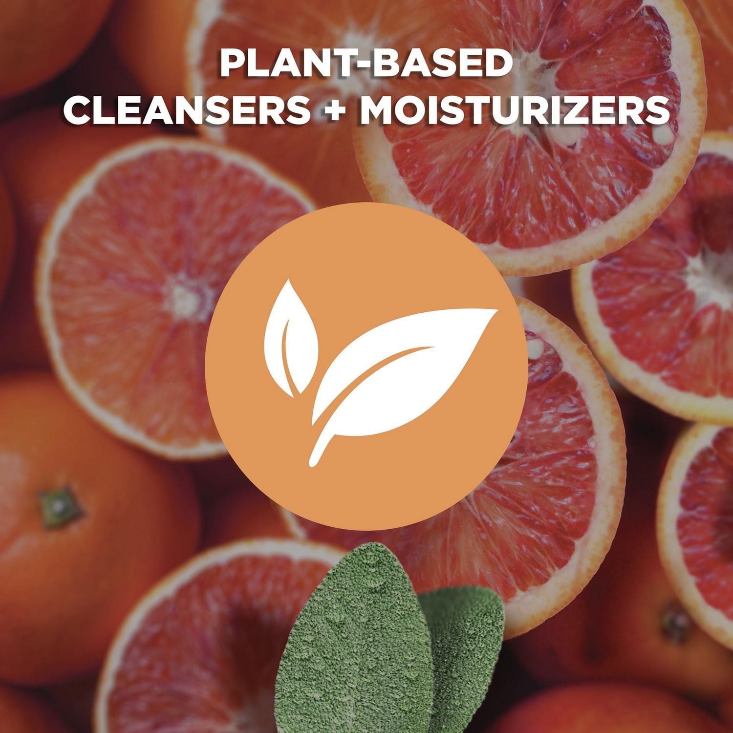 Shampooing + Revitalisant 2 en 1 Dove Men+Care Fraîcheur Pure Orange et Sauge 517 ml Shampooing+Revitalisant