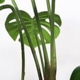 thumbnail image 6 of 30'' Artificial Monstera Deliciosa Plant with White Pot, 2 pcs / set, 6 of 12