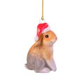 thumbnail image 2 of onlyliua Promoción de Temporada Colgante Pequeño de Navidad Adornos para Árbol de Navidad para Coche Gorro de Navidad Acrílico Colgante Pequeño, 2 of 4