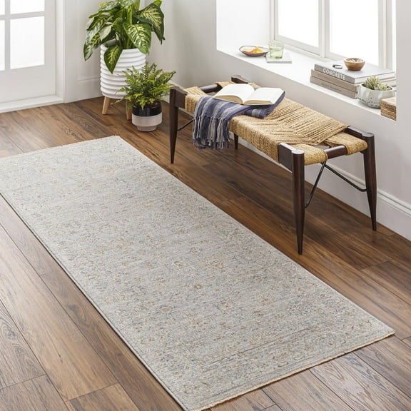Livabliss Area Rugs for Living Room, 3x7 Avant Garde Traditional Medium Gray Runner Rug, Bedroom Dining Room Home Decor Stain Resistant Carpet (2'7" x 7'3" Runner)