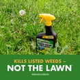 thumbnail image 6 of Spectracide Weed Stop for Lawns, Ready-to-Use Spray, 32 Ounces, 6 of 10