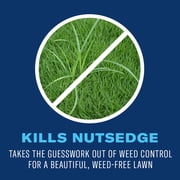 BioAdvanced Season Long Weed Killer, Ready-to-Spray, 32 fl oz Bottle