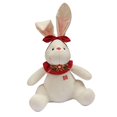 thumbnail image 2 of Muñeco de peluche de conejito, regalo de compromiso, suave y cómodo, lindo conejito de peluche. Mujer, 2 of 9