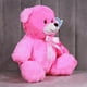 thumbnail image 5 of PELUCHERIA - Oso de Peluche 25 cm Everbear, Suave y Resistente, Ideal para Regalo (Rosa), 5 of 5