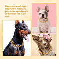 thumbnail image 4 of Hip-Hop Style Stainless Steel Dog Collar - 19mm Wide Gold-Plated Neckband with Secure Buckle Lock, 12 Inch (31cm) for Medium Dogs, Durable & Comfortable Pet Accessory with Fade-Resistant Shimmering, 4 of 6