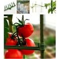 thumbnail image 2 of Support de Jardin Générique 12 Pcs Pilier en Tuyau d'Acier Support de Cage pour Tomate, 2 of 13