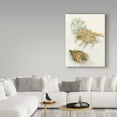 thumbnail image 3 of Trademark Fine Art 'Shell Study' Canvas Art by Joanne Porter, 3 of 3