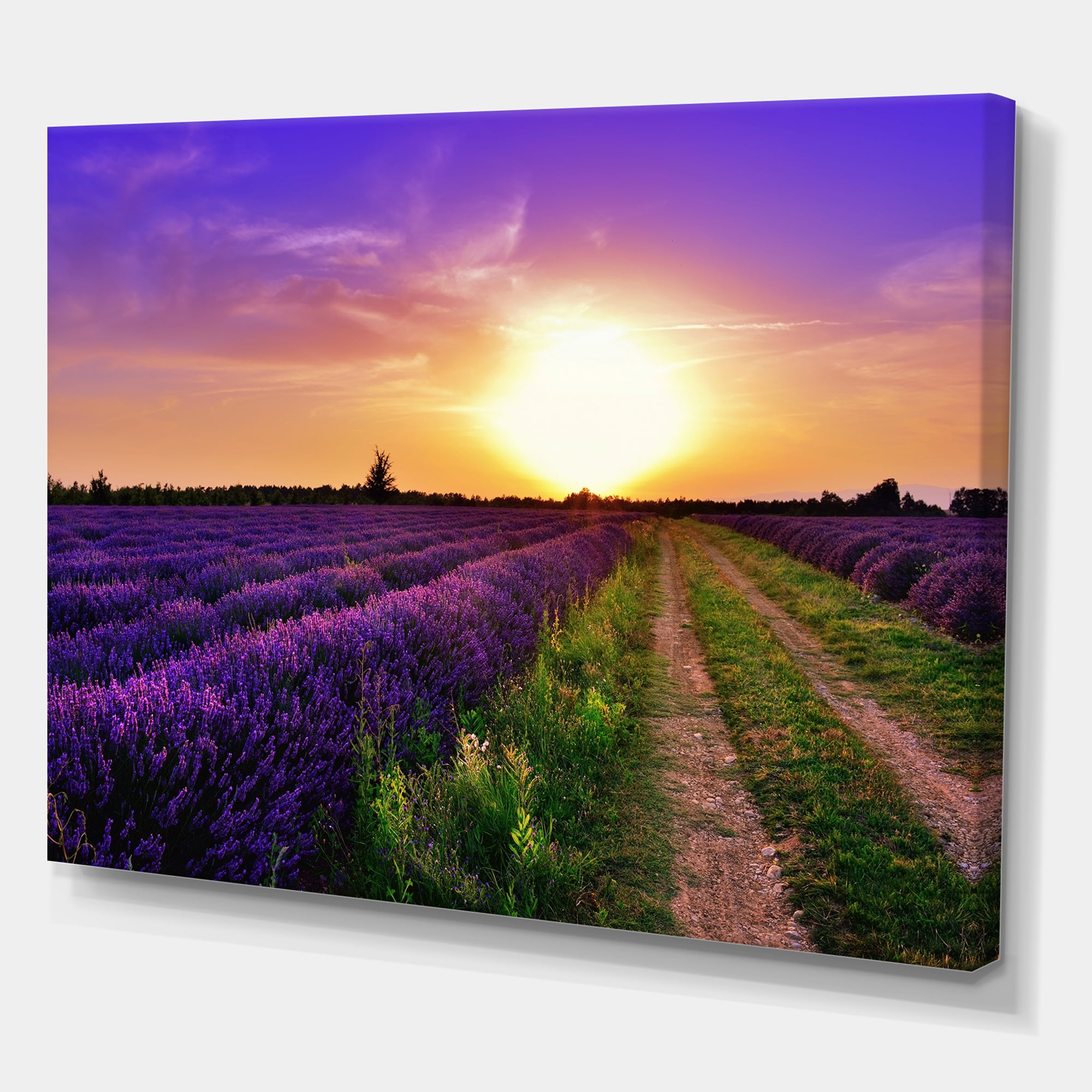 Designart ' Lavender Field At Sunrise II ' Farmhouse Canvas Wall Art Print