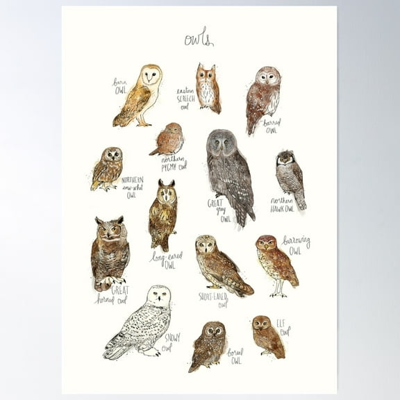 Owls Poster Wall Art, Modern Wall Decor For Living Room Bedroom, 8x12 UNFRAMED