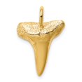 thumbnail image 1 of 14K Yellow Gold Solid Textured Polished Finish Shark Tooth Charm Pendant, 1 of 4