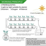 Hydroponics Growing System Kit,1 Level/36 Sites PVC-Pipe Vertical Hydroponic Garden Planting Vegetables and Herbs Growth Cultivation Equipment with Pump,Timer,Planting Basket,Grow Sponges