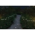 thumbnail image 5 of Ideaworks Solar Firefly Lights - 2 Pack, 5 of 5