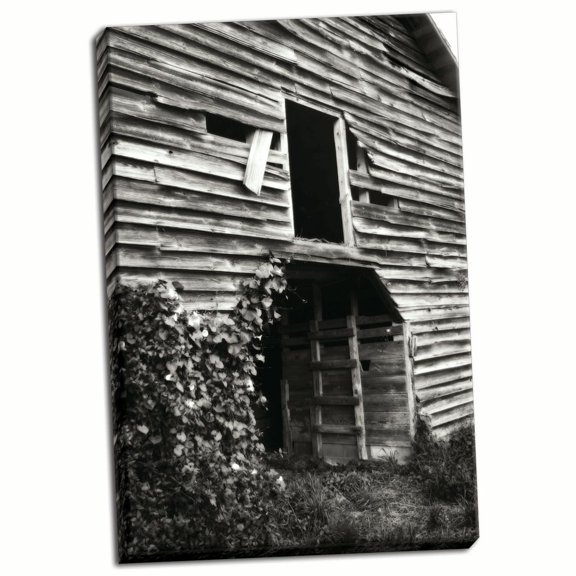 Gango Home Decor Falling Down by Alan Hausenflock (Ready to Hang); One 24x36in Hand-Stretched Canvas