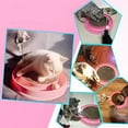 thumbnail image 3 of KEINXS Cat Scratcher Toy, Turbo Cat Toy Post Pad Interactive Training Scratcher Toy with Turbo and Ball, 3 of 5
