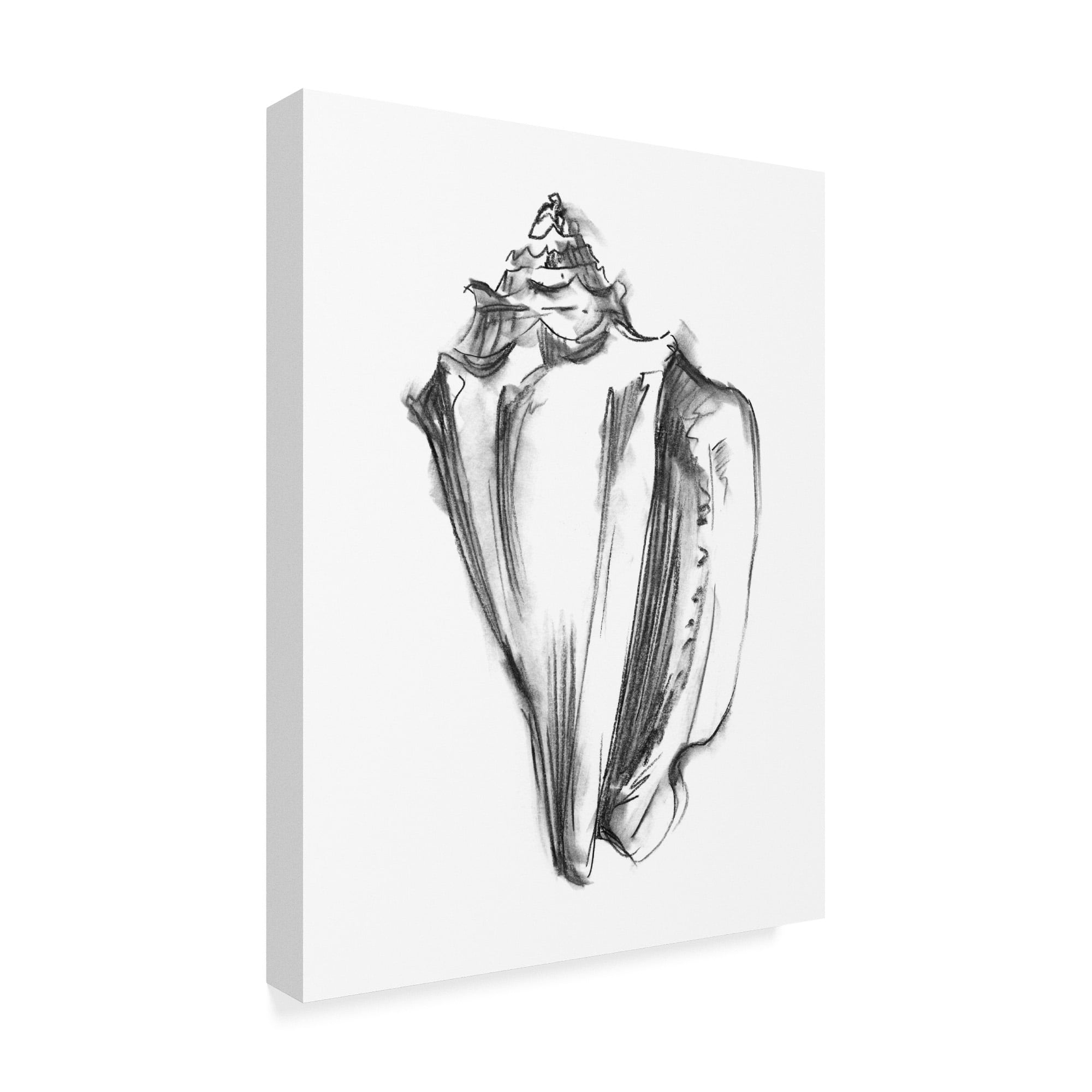 Trademark Fine Art 'Shell Sketch I' Canvas Art by Ethan Harper
